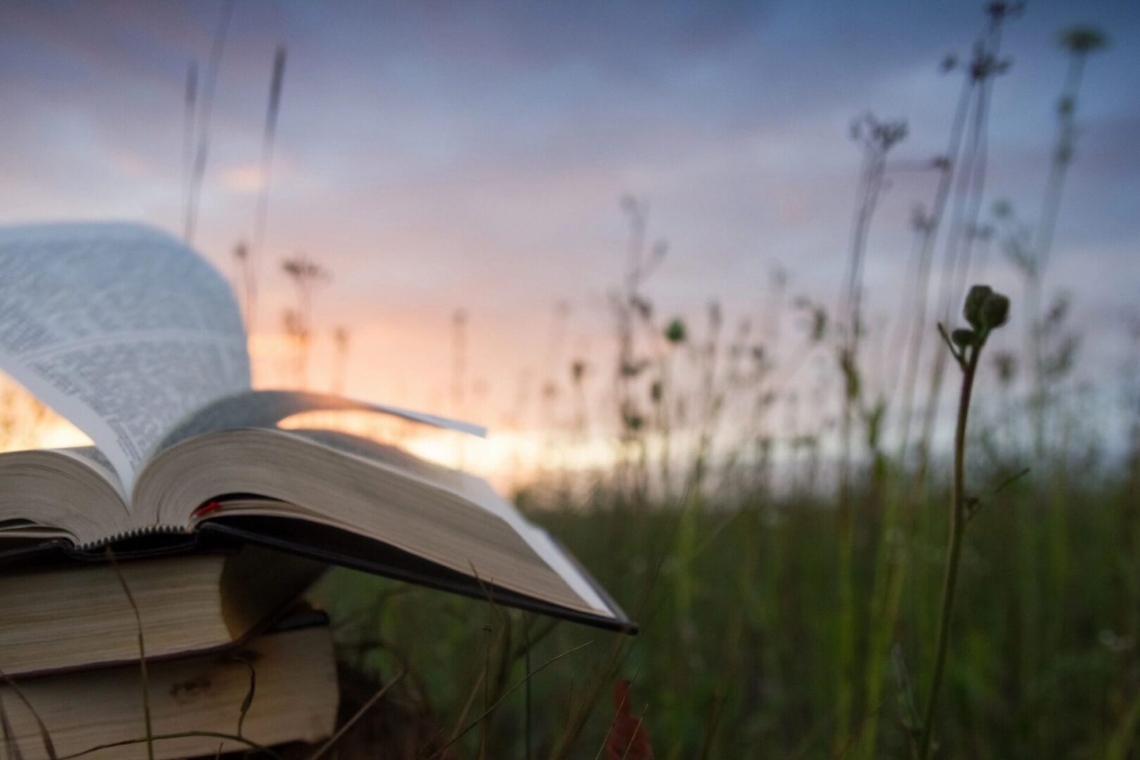 A book is open in the grass near some tall weeds.