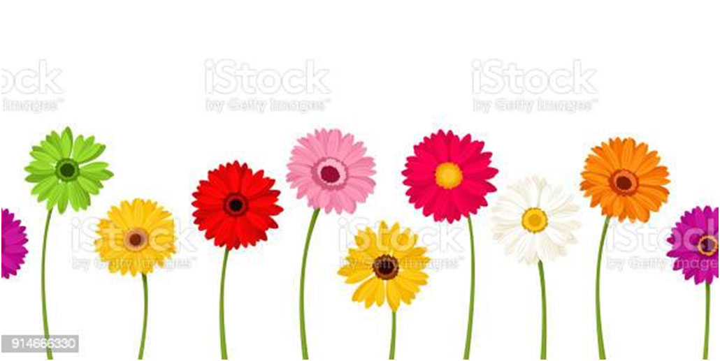 A row of flowers that are in the grass.