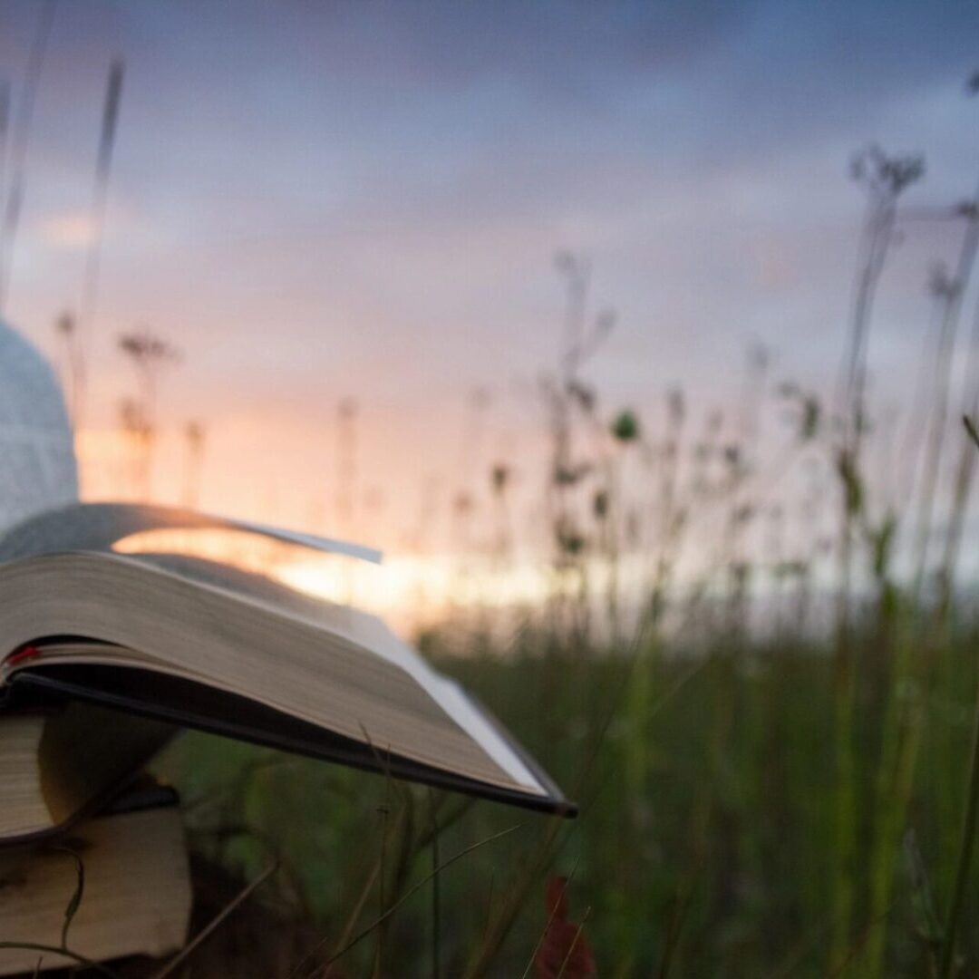 A book is open in the grass near some tall weeds.