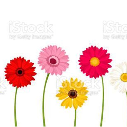 A row of flowers that are in the grass.